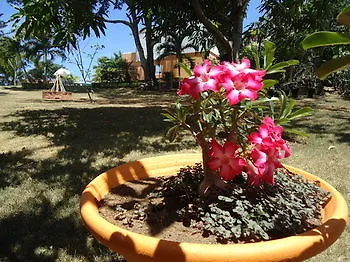 Lodge Villa Victoria Sosúa Dominikanische Republik